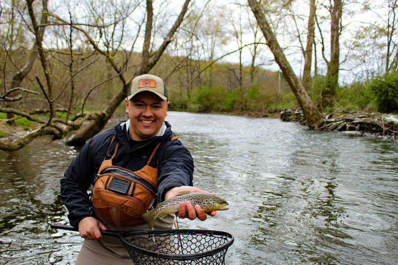 Pennsylvania brown trout fly fishing. 