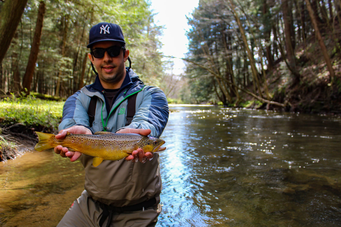 Fly fishing for trout in May and June. 