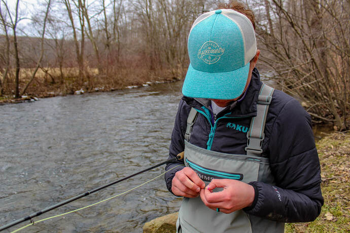 Fly fishing for trout in Pennsylvania. 