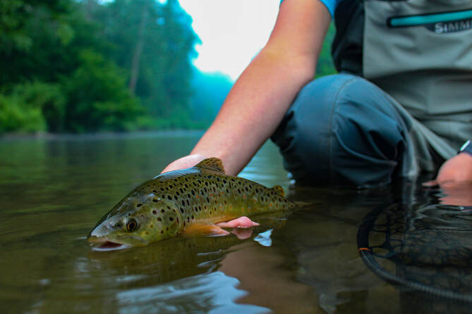 Fly fishing the mountains of Pennsylvania. 