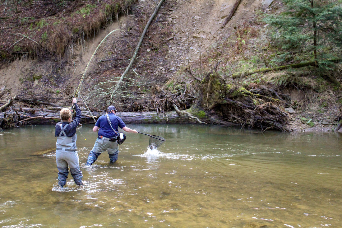 Guide trips in PA for trout and steelhead. 