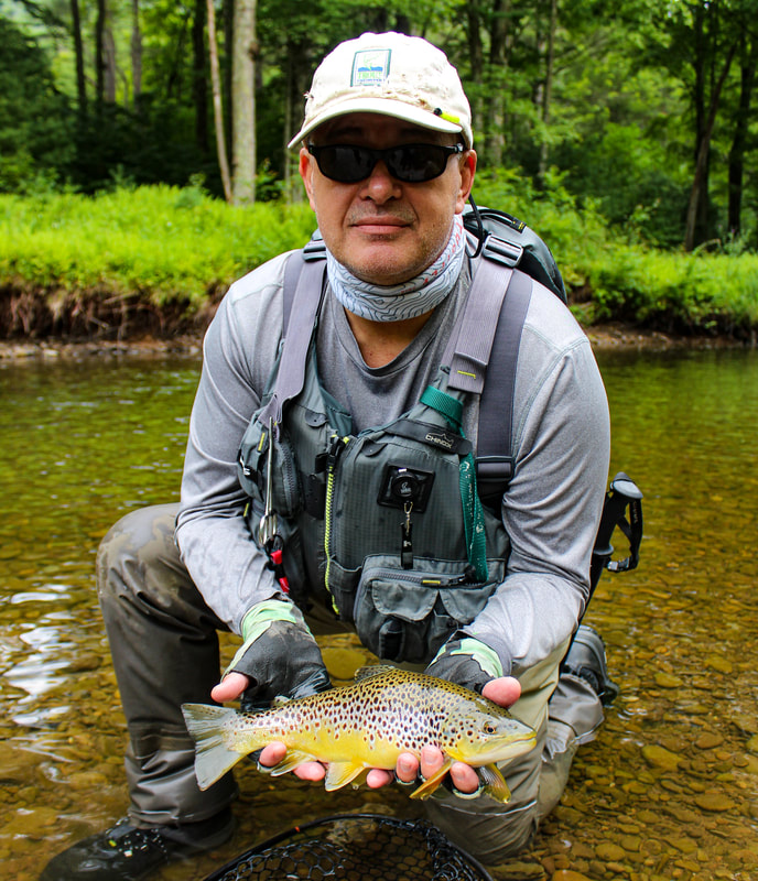 Brown trout fishing in Pennsylvania. 