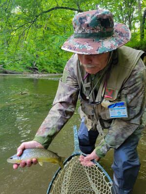How to catch brown trout in PA.