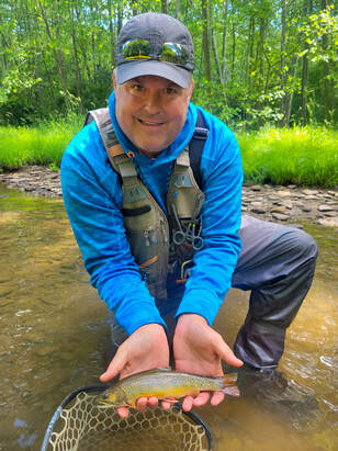 Catch brook trout in Pennsylvania.