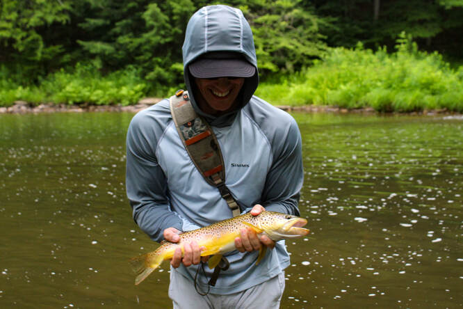 Brown trout fly fishing in PA.