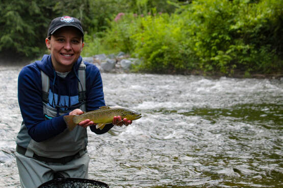 Brown trout fly fishing guide trips.