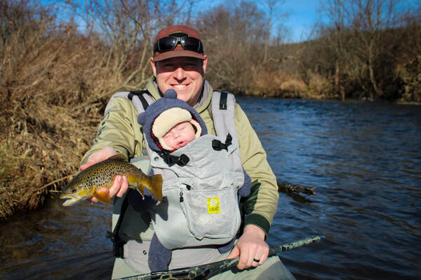 Brown trout fly fishing in Western Pennsylvania. 