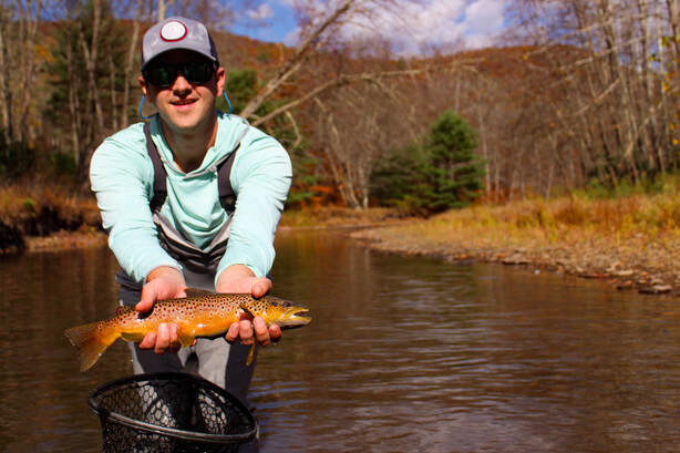 Brown trout fishing in PA.